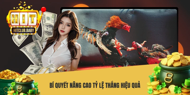 Bí quyết nâng cao tỷ lệ thắng hiệu quả